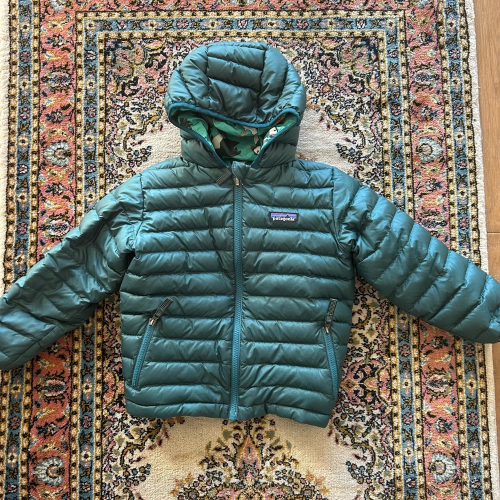 Patagonia Down Jacket